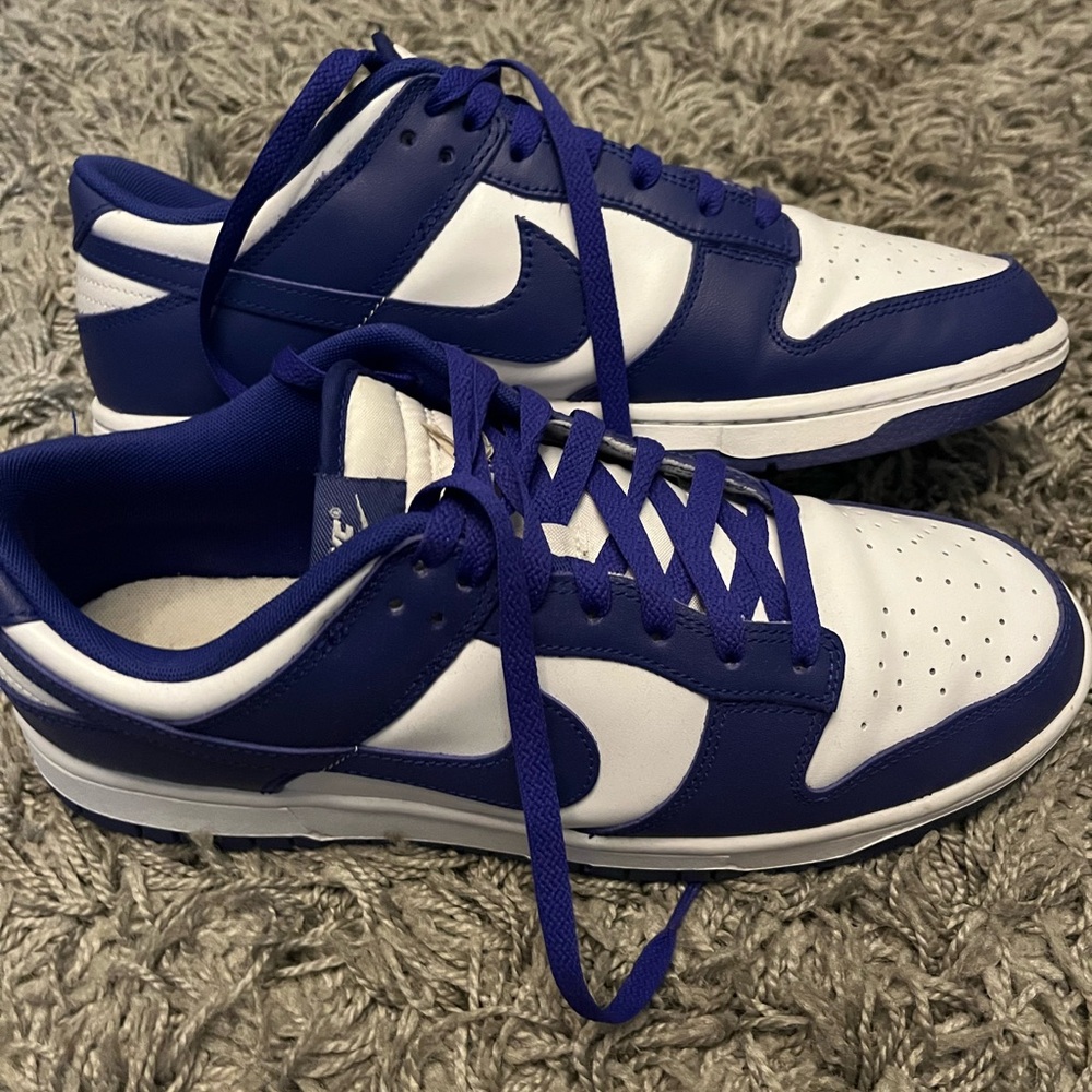 Nike Dunk (Concord) Size M11